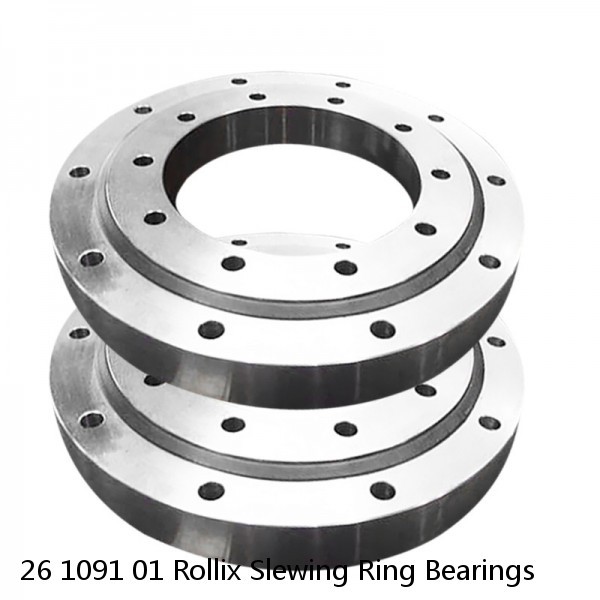 26 1091 01 Rollix Slewing Ring Bearings #1 small image