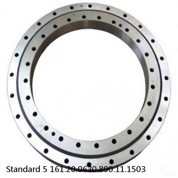 161.20.0630.890.11.1503 Standard 5 Slewing Ring Bearings #1 small image