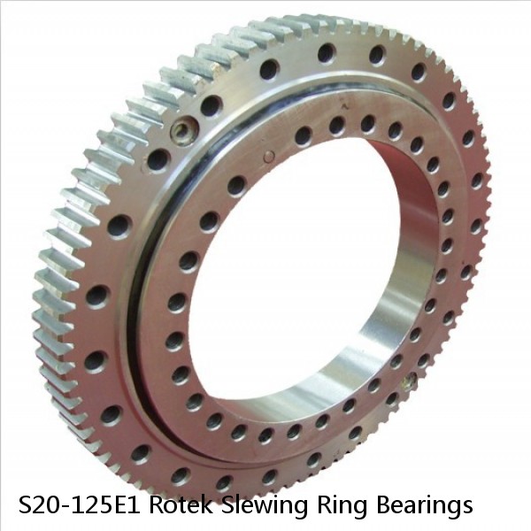 S20-125E1 Rotek Slewing Ring Bearings #1 small image
