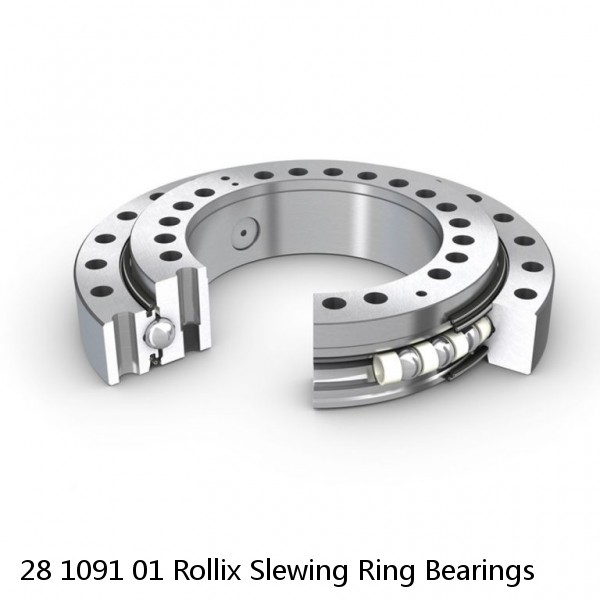 28 1091 01 Rollix Slewing Ring Bearings #1 image