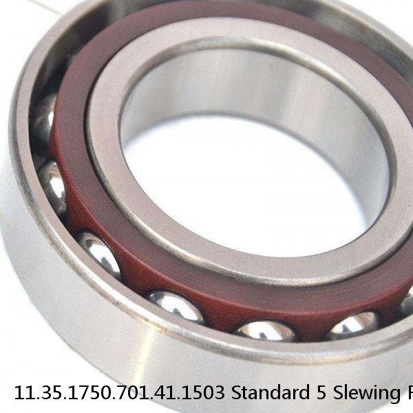 11.35.1750.701.41.1503 Standard 5 Slewing Ring Bearings #1 image