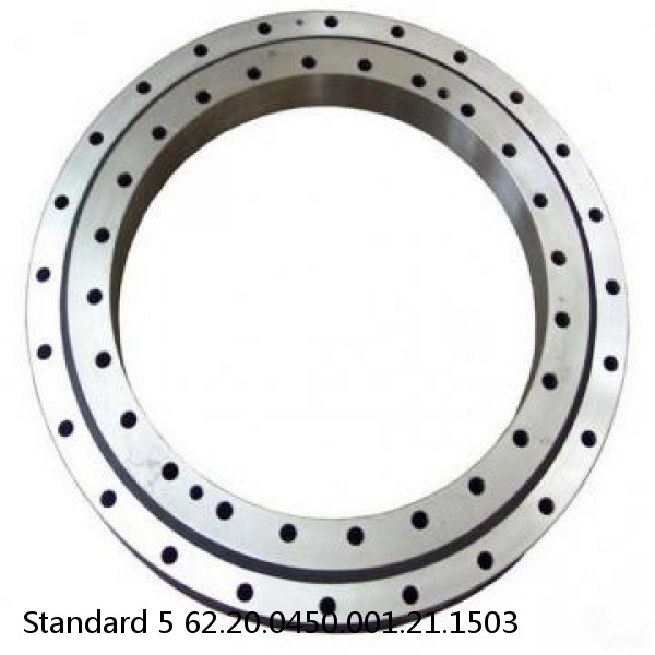 62.20.0450.001.21.1503 Standard 5 Slewing Ring Bearings #1 image