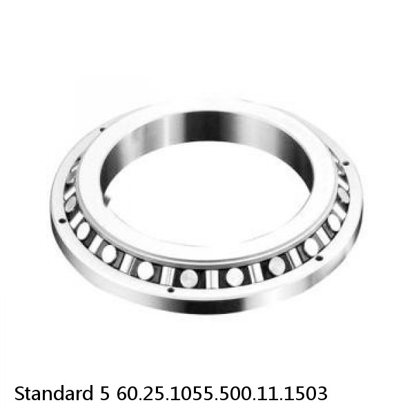 60.25.1055.500.11.1503 Standard 5 Slewing Ring Bearings #1 image