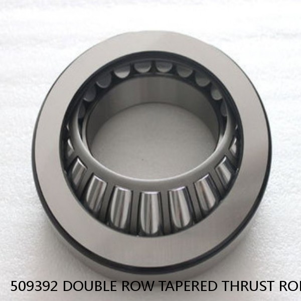 509392 DOUBLE ROW TAPERED THRUST ROLLER BEARINGS #1 image