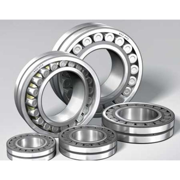 1.772 Inch | 45 Millimeter x 3.937 Inch | 100 Millimeter x 0.984 Inch | 25 Millimeter  LINK BELT MA1309EXC4M  Cylindrical Roller Bearings #2 image